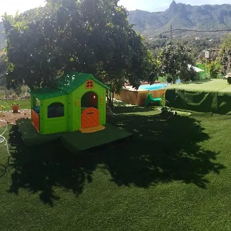 Siempreviva Domek alpejski *