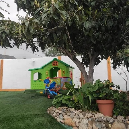 Siempreviva Las Palmas de Gran Canárias