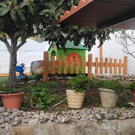 Siempreviva * Las Palmas de Gran Canárias