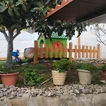 Siempreviva * Las Palmas