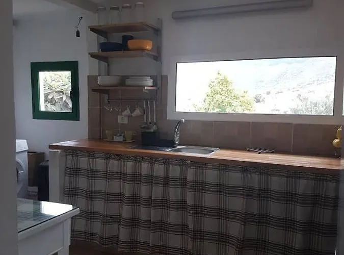 Siempreviva ラスパルマス・デ・グランカナリア