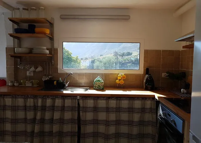 シャレー Siempreviva *